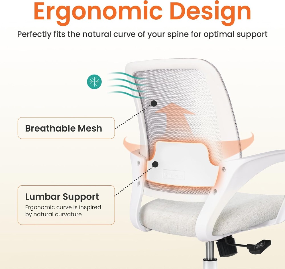 Kursi Meja Kantor Ergonomis de - Task Chair Mid Back ulasan dan harga